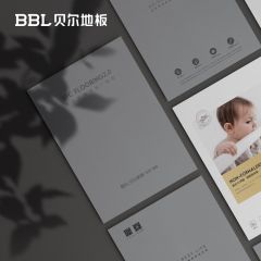 貝爾地板銷售推廣輔料SPC生態石晶地板·墻板樣板冊